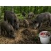 HuntLine Hog Wild (зелёное яблоко)
