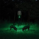 Освещение для кормушек