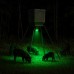 Wildgame Innovations Moonshine Feeder Light